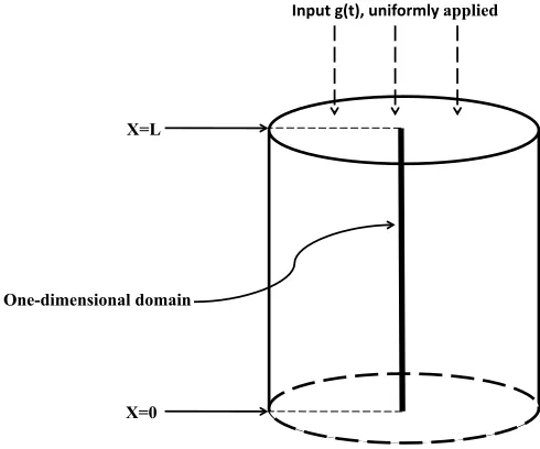 Figure 1: Setup of agar phantom, with sample one-dimensional domain denoted