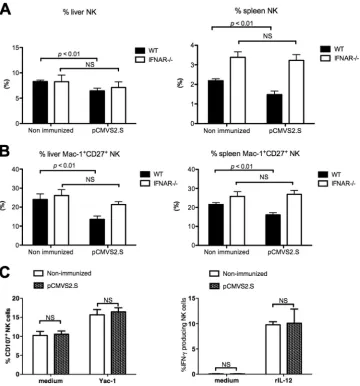 FIG. 7. Activation of NK cells induced by pbars) IFN-panels) from nonimmunized orpanel) and producing IFN-C57BL/6 or IFN-CMVS2.S immunization depends on endogenous IFN-�