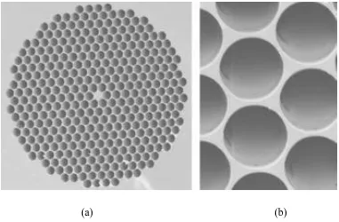 Fig. 2. 1: SEM micrographs of a photonic-crystal fibre produced at US Naval Research Laboratory