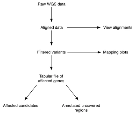 Figure 1 CloudMap overall conceptual strategy for mutant genomeanalysis. This high-level summary depicts the main CloudMap processesand outputs