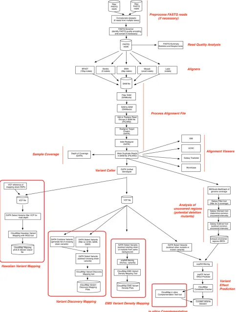 Figure 3 Summary ﬂowchart illustrating all functions used in the CloudMap pipeline. More experienced users may choose among different softwaretools to perform desired operations at marked decision points in the ﬂowchart