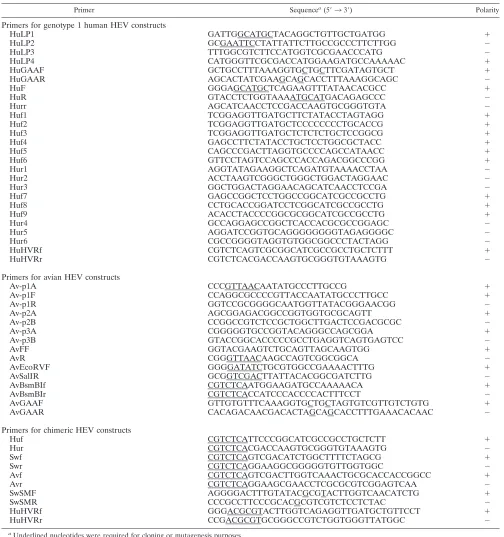TABLE 1. Oligonucleotide primers used for construction of genotype 1 human HEV luciferase replicon, avian HEV luciferase replicon,HVR deletion mutants, and chimeric HEV replicons