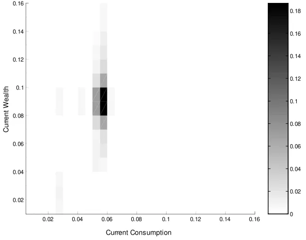Figure 3: Joint Probability Distribution of Current Wealth and Current Consumption (κ large)