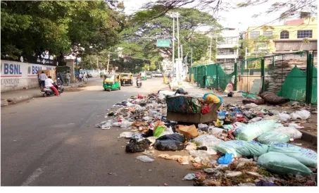 Figure 3: Waste dumped near road side 