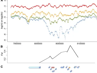 Figure 4 Polymorphism, divergence, and tem-simulans(orange), polymorphism of the postAfricanand polymorphism of the postAmericanporal differentiation around Hen1