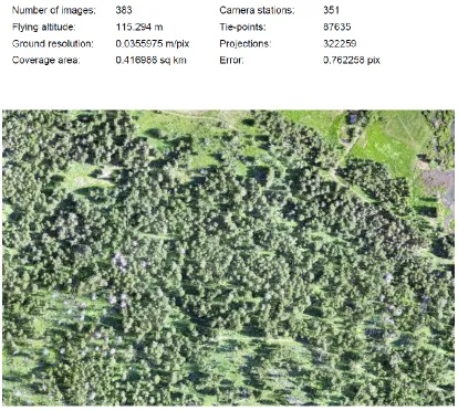 Figure 2.2: Orthomosaic at 0.14m/pixel resolution generated from UAV imagery 