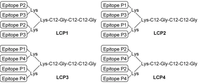 Table 1. CD4+ and CD8+ T cell epitopes from P. yoelii circumsporozoite protein (PyCSP).