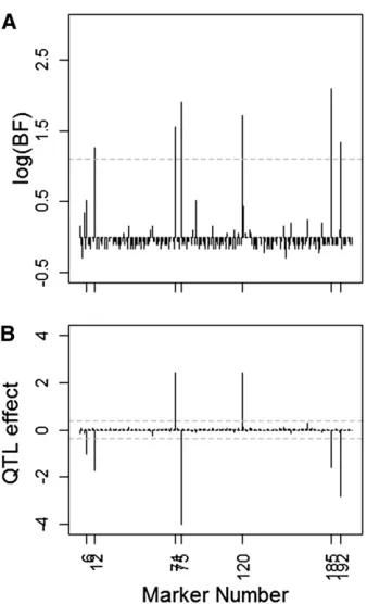 Figure 3 (A) Natural logarithms of the Bayes factors for QTL presence ateach marker, plotted against the marker number for a single-phenotyperealization under the very dense marker data, with the horizontal shadeddashed line indicating the log(BF) threshol