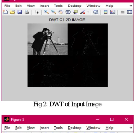 Fig 2: DWT of Input Image  