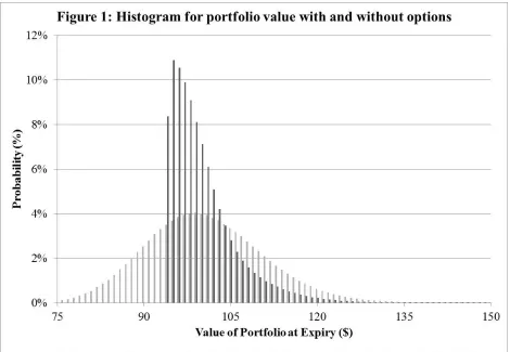 Figure 1 shows that the portfolio with the optimal quantity of put options is very different 