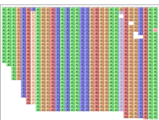 Fig. 1. SNP identification: The top row shows a subsequence of the reference genome.