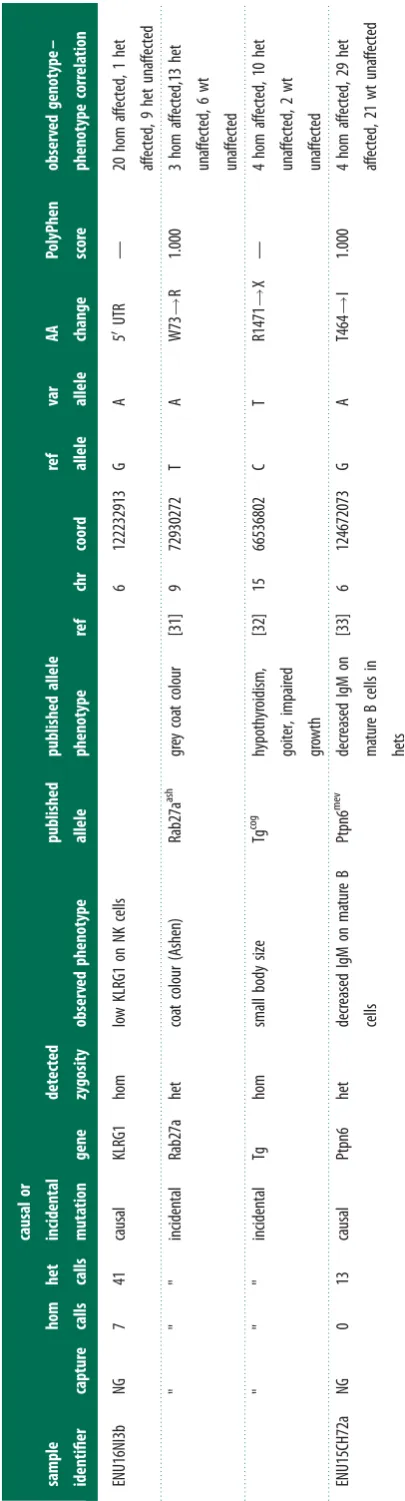 Table 2.) (Continued.