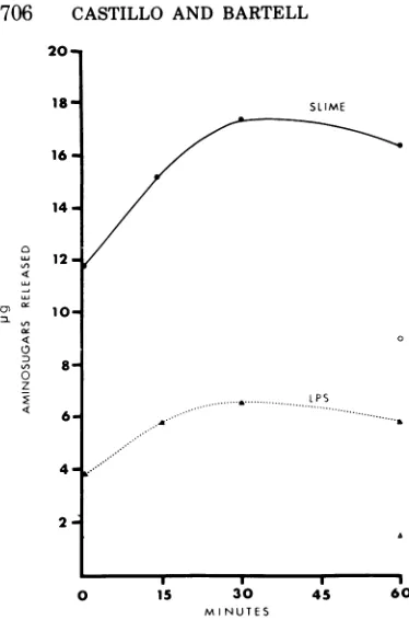 FIG.IP. aerugi-(0.55 mg)Erase (0.1\) addition(A)nosamg). 4. Release of amino sugars from  BI slime GLP (0.61 mg) (@) and LPS ( during treatment with phage 2 depolym Controls ofslime GLP (0) arid LPS (L of depolymerase are also shown.without