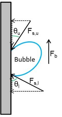 Figure  2.3 Free body diagram of a symmetrical bubble growing on a horizontal substrate 