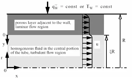 Figure 2.1 Schematic diagram of the composite parallel-plate channel 