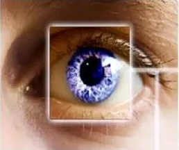 Fig 3: Iris Scan products 