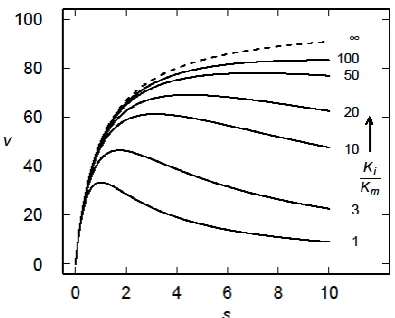 Figure 2.  Kinetics of the Michaelis-Menten reaction (dashed curve) and substrate inhibition model (solid curves) for several different values of Ki/Km (as indicated)