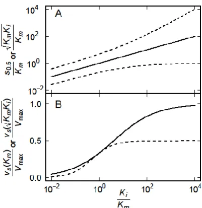 Figure 3.  Dependence on Ki/Km of  (A) the concentration of S yielding maximum vS (solid line) and the concentrations at which vS is half of the maximum values (dashed curves, (4)), and of (B) the maxium vS (solid curve, (3)) and the value of vS(Km) (dashe