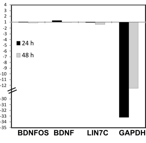 Figure   S1         Control   experiment   to   rule   out   non-­‐specific   effects   of   siRNA   conditions