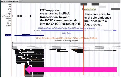 Figure   S5         Genomic   complexity   of   the   human   AK093366-­‐AG2   lncRNA-­‐mRNA   cis-­‐antisense   pair   which   is   co-­‐differentially-­‐expressed   in   human   neocortical   epilepsy