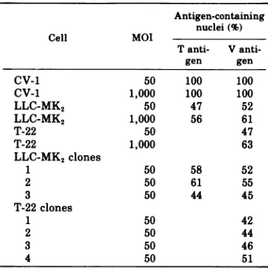 TABLE 2. Production ofSV40 T and V antigens onCV-1, LLC-MK2, and T-22 ceilsa