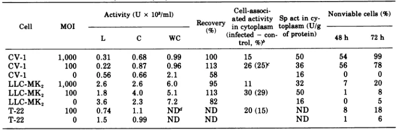 TABLE 4. N-acetyl-,B3glucosaminidase activity in lysosomal (L), cytoplasmic (C), and whole cell (WC)fractions of infected and control cells at 48 ha