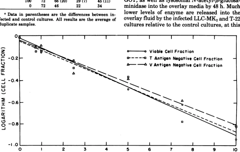 FIG.2.functiondetermined Relationship between cytopathogenicity and antigen-forming ability ofSV40 on CV-1 cultures as a of the MOI