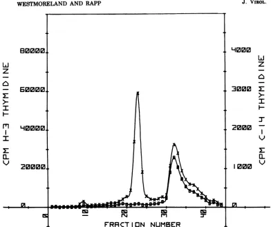 FIG. 2.profilehradioactivitylabeled previously Separation of virus and cellular DNA by CsCI equilibrium centrifugation