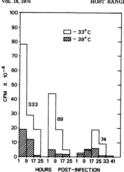 FIG. 3.pulsescellstotalCsCl74 and Pattern of virus DNA synthesis in HEF infected with HSV-2-333, mutant 69, or mutant maintained at 33 or 39 C