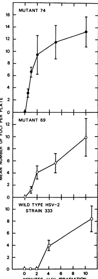 TABLE 5. Assay for defective interfering particles inmutant stocks using plaque reduction as indicator