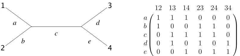Figure 2.2. Note that row(Ametrics with topologyT) is the linear span of the cone in Tn containing all tree T