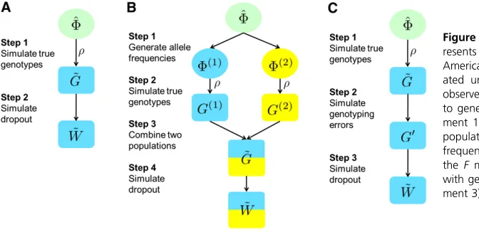 Figure 5 Simulation procedures. In all procedures,observed genotypes with allelic dropout