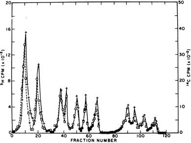 FIG. 1.Na2SO4,carbodiimide-reacted16,000excessandamide-0.5%segmentsbefore 3H-labeled SV40 DNA I (specific activity, 5300 counts/min per pg) was reacted with an 800-fold of cold carbodiimide (moles per mole of nucleotide) in a buffer containing 0.01 M Na2B4