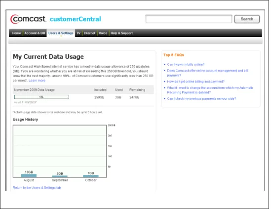 Figure 1 – Sample Subscriber View of Usage Meter 