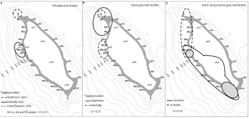 Figure 4. Area use maps, showing the 95% contours of the number of hours of detection occurred for sharks at different tagginglocations and the comparison of spatial use with Pianka’s niche overlap value (overlap.were pooled and compared with North Horn in