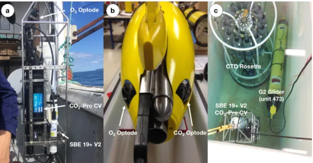 Figure 3.2: (a) Trinity Bay test reference CTD, (b) glider setup and (c) equipment tank testing in progress.