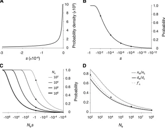 Figure 2 Example evolutionary patterns undermutations within this range.. Expected DNA diversity (, and 10 p8 Nare marked