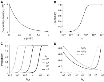 Figure 3 Example evolutionary patterns for slightlythe curve for 0areas under the DSE curve for 0distribution function for selective effects of newmutations.ﬁCurves are shown formarked forNeffects that combines the density functions in Figure2A (99% of new