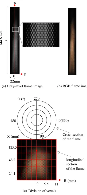 Fig. 11. Flame image captured by the light field camera (a) and (b), and corresponding schematic of division of voxels (c) 