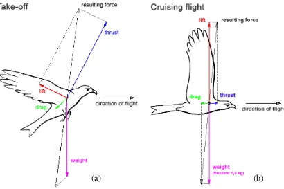 Figure 3.5 Force vector on the take-off mode and cruising mode [44] 