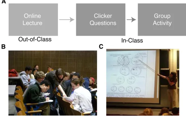 Figure 1Hybrid course model. (A) Students were as-signed to view an online lecture before coming to class.In class, students answered a series of clicker question toassess whether they could demonstrate the learning objec-tives associated with the online l