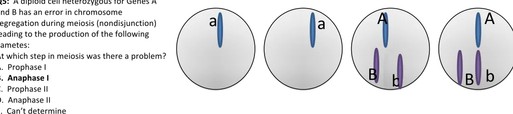 Figure   S1      Clicker   questions   and   their   associated   learning   objectives   and   Bloom’s   level   