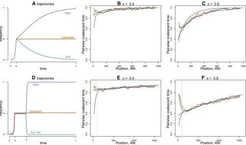 Figure 2 The effect of a single partial sweep. (A) Three possible trajectories followed by theapproximation to the pairwise coalescent time of Equation 6
