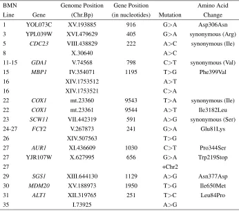Table S2Genotypic basis of mutations in genes not in the ergosterol biosynthesis pathway