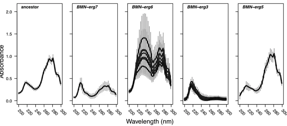 Figure 2 The sterol prowas measured using a spectophotometry-based assay. For BMN lines that carry the identical ergosterol mutation, a single line was randomly chosen torepresent the group (BMN-ﬁle of all BMN lines is different from the ancestral proﬁle e