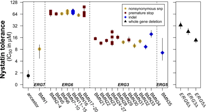 Figure 3 BMN lines have signia mutation (mutations in genes fartherfrom producing ergosterol are num-bered lower and plotted to the left)and position in the gene (mutationscloser to the start codon are numberedlower and plotted to the left of muta-hood pro