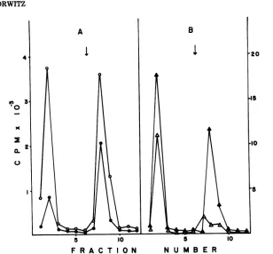 FIG. 2.DNANaCl,columnsatelation,counting.columnscentrifugationthebuffermin.washed 260 BND-cellulose chromatography to separate replicating from completed viral DNA
