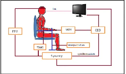 Figure 1. Experimental Recording Set Up 