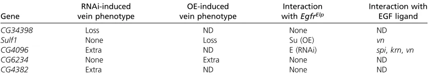 Figure 2 Vein phenotypes displayed by Egfr-responsive genes. (A) Wild-vein is present above L2 (solid arrow) and a delta of extra vein is present atthe tip of L4 (solid arrow)