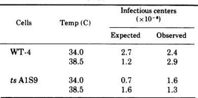 TABLE 1. Multiplication of Py TSPI in WT-4 and ts A1S9 mouse L cells
